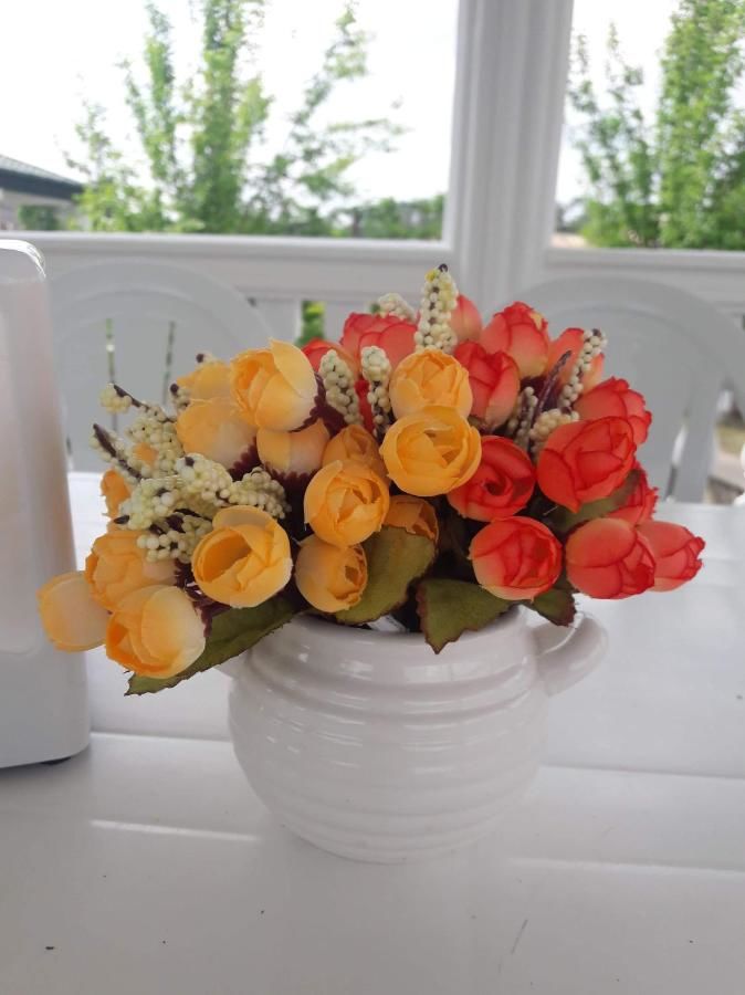 Гостевой дом Guest House On Mirian Mepe Цхалтубо-7